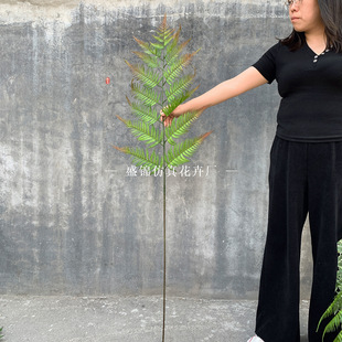 ����Gֲ���ϼٻ�ާ�z������滨ֲ���Y�Ҿ��b�Y�ù���