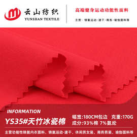 天竹冰瓷棉弹力涤棉拉架汗布T恤面料 170g拉架针织布春夏T恤面料