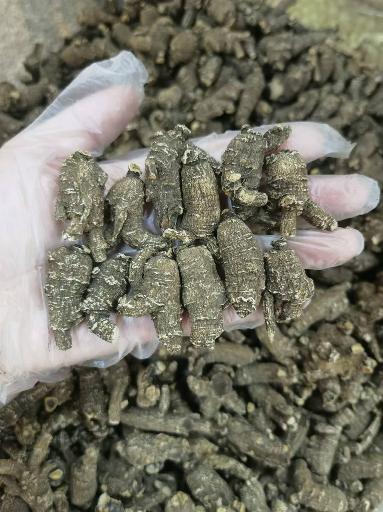 American Black Skin American Ginseng Root Segments Hua Qi Shen 250g Whole Pieces specifications