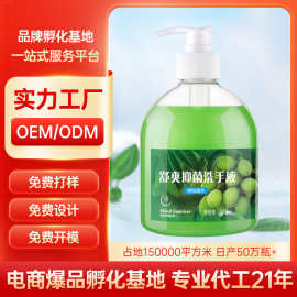 洗手液500ml厂家批发酒店电商大桶加工生产代发日化用品