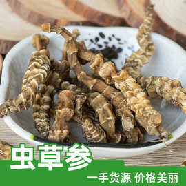 跑江湖地摊展销会大条新鲜云南虫草参批发散装农产品新货粗条地参
