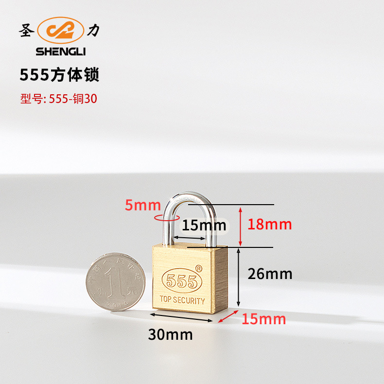 Customized Southeast Asian square blade copper padlock, copper key, copper lock core, copper natural color chrome-plated copper lock, export copper padlock pic 2