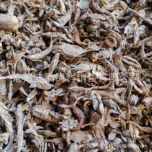 ��ϼ����~�������u�����rзˮ�a�Bֳ���ԭ���i���������s�~