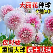 �ذ�������N��������ļ�ţ�̿��ȴ�ջ��عϻ������̨���Ժ��B