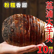 �V���������r�����^10������F�ڷ������خa������ë���^