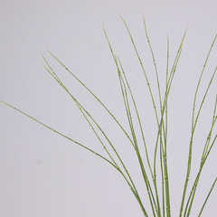 模擬緑植物、細い竹、緑の結婚式の装飾、フラワーアレンジメント、撮影小道具、装飾品、付属品