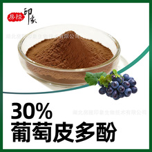 ����Ƥ���30%����Ƥ��ȡ��Grape Polyphenols ����Ƥ��޼�J��