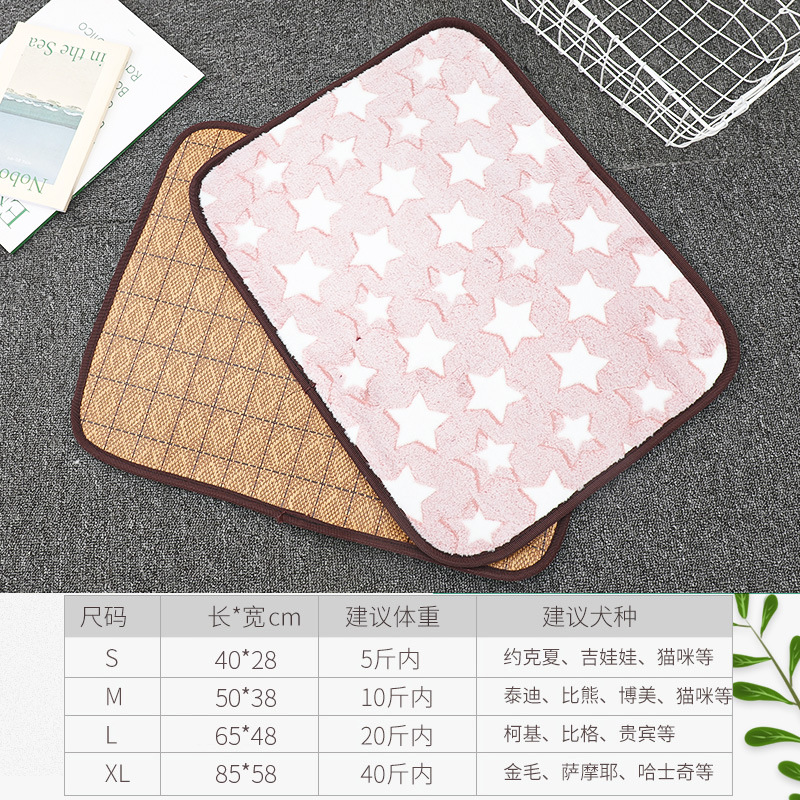 콩 모래 별