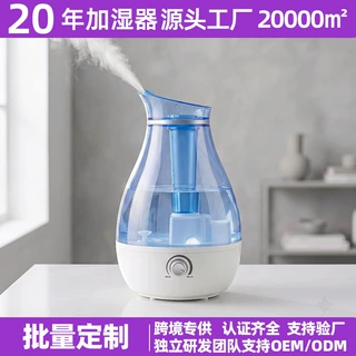 出口欧美大雾量2.5L水壶超声波加湿器夜灯商超专供 OEM 贴牌定制