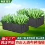 长方形加厚加仑无纺布植树袋