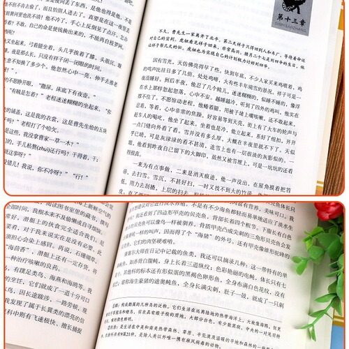 Camel Xiangzi Original Edition by Lao She, Grade 7, Twenty Thousand Leagues Under the Sea, Grade 7 Down, Classic Novel Books