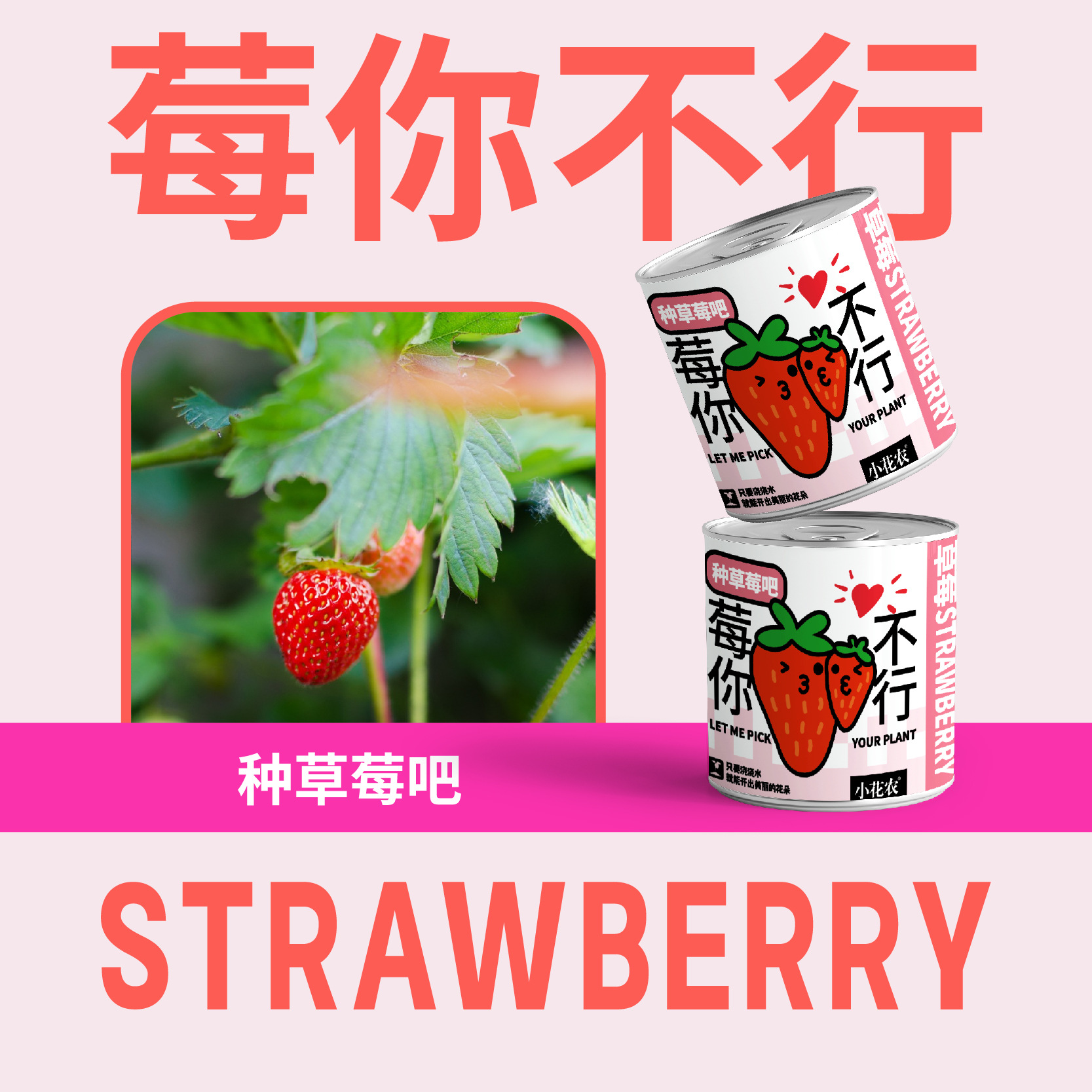 당신은 할 수없는 베리 (딸기)