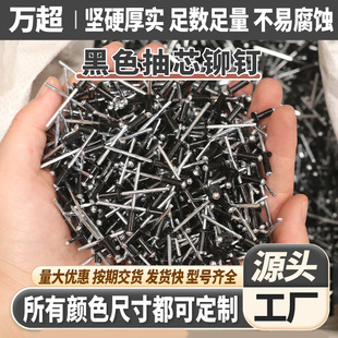 Black blind rivet round head M3.2/M4/M5 color rivet open round head rivet wholesale blind rivet