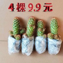 �J�C��ҹ�Ƕ���ֲ���҃������������������ļ�������B�Gֲ