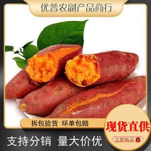 ��������ɳ�ؼt�����r����Ŵ�����ع�ȫ�깩؛��������һ�����l