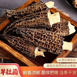 其他干货;蘑菇;羊肚菌