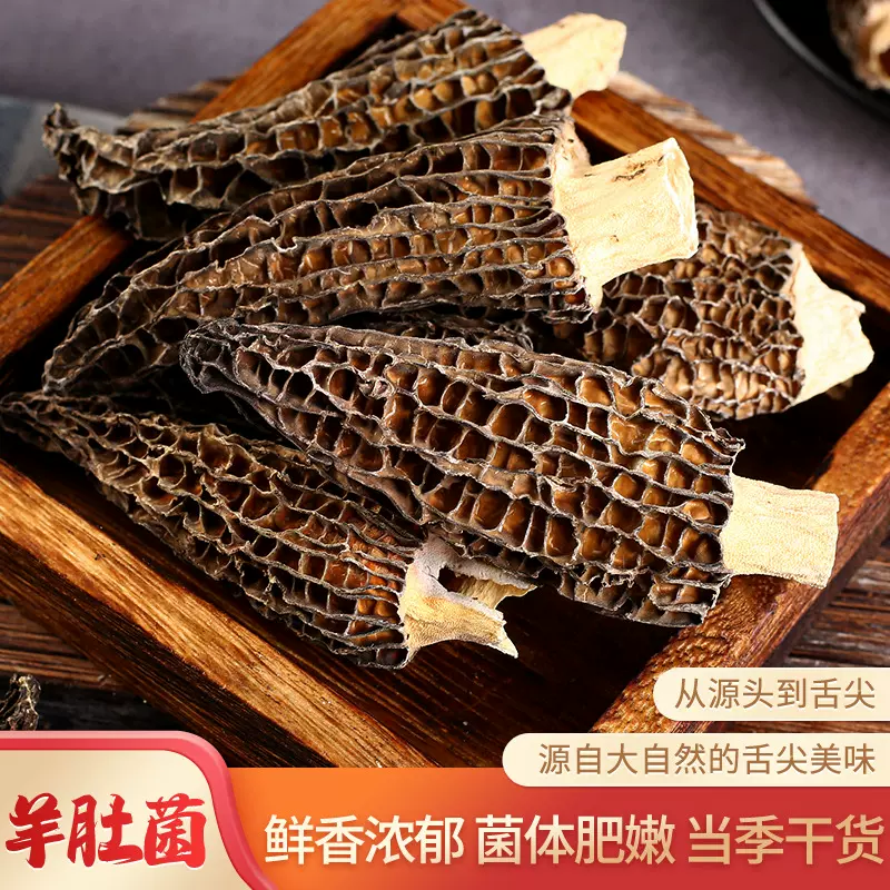 干羊肚菌人工云南食用菌羊肚菌干货散装菌菇干品煲汤食材直销批发