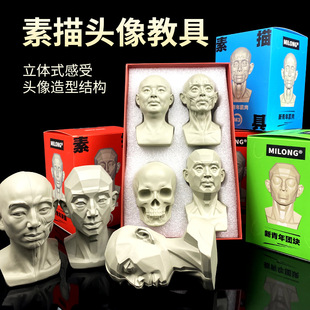 Teachable Teaching Aids: Myron's Sketch Art, Plaster Statue, Muscle Resin Still Life Ornament Model