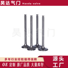 ����ֱ��A������ͨ��ϵ�н������� 55557862 55558728valve