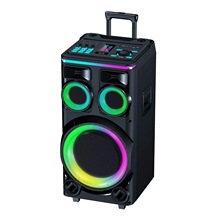 300W�h���x�������12���{��Karaoke speaker�����ص����Ɍ�����