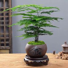 ��������ֲ����B�҃ȃ����k���ҿ͏d�Gֲ���������辰�ļ������