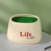 Новая модель «life» горшок