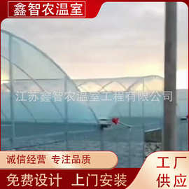 厂家销售育秧连体温室大棚智能育苗连体连栋农业大棚