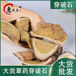穿破石别名：红穿破石地棉根柘树根柘木根一公斤初级农产品初加工