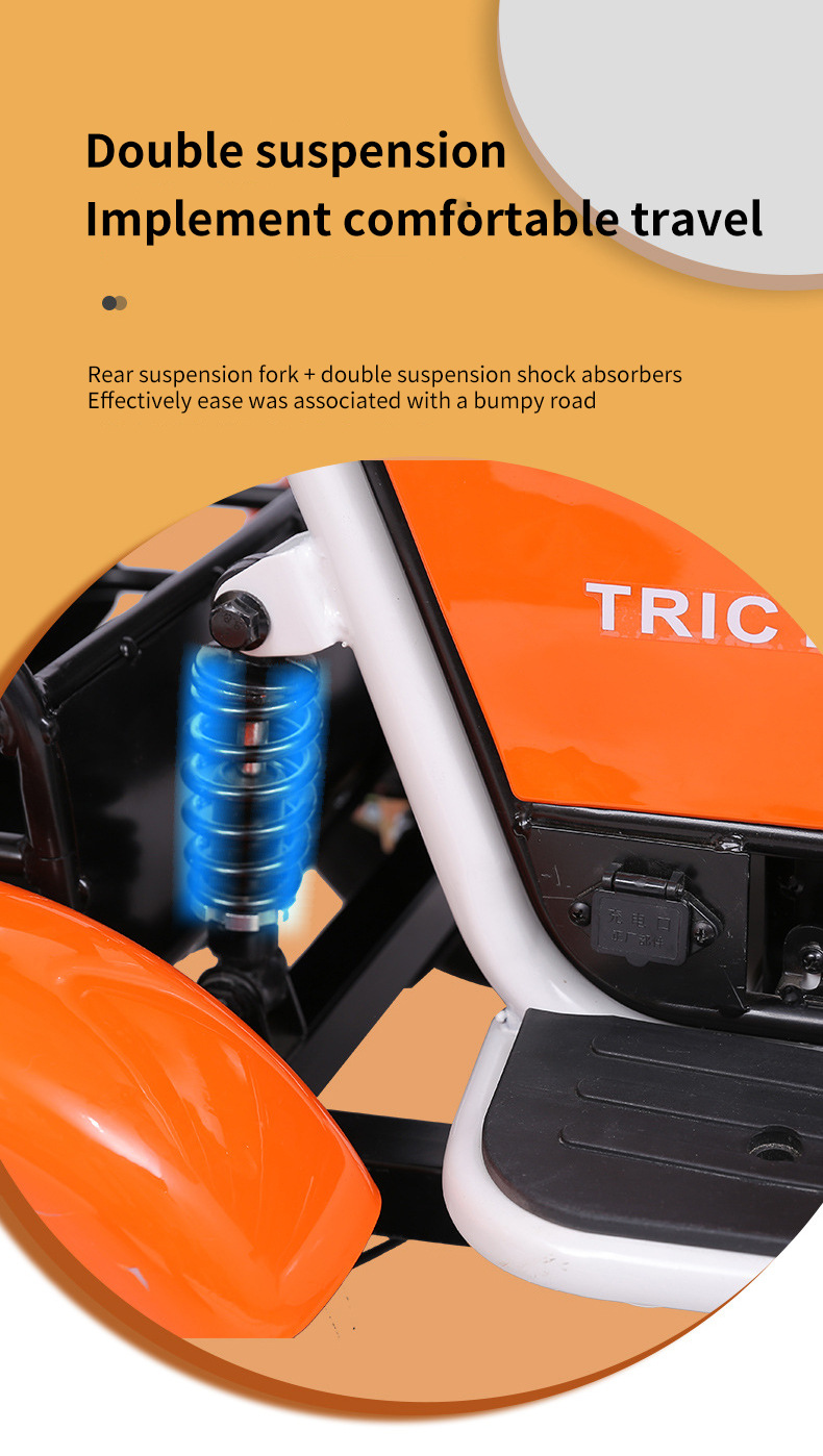 Electric Tricycle for Elderly/Pet Use