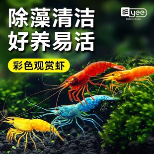 �Ꭷ�^�p�r��ˮ�r������坍���߲�ɫС�r�ښ��ѻ��r�����r���l