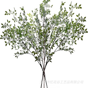 �羳���u���l����Gֲ������ ��c���� Ӱ���쾰�Ƶ껨ˇܛ�b