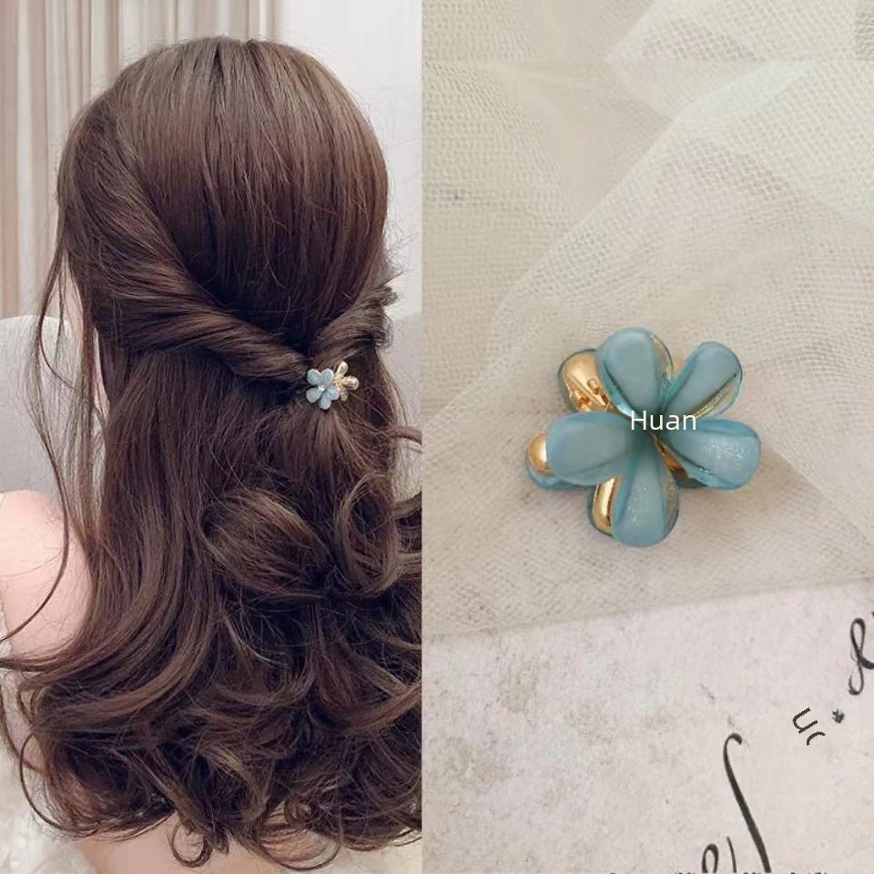 Fermaglio per capelli con frangia di piccole dimensioni 2023 nuovo fermaglio laterale con fiore di cristallo Corea del Sud mini fermaglio per capelli temperamento celebrità di Internet accessori per capelli_voghion.com