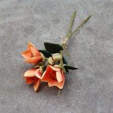 ��������Ӣ�ۻ����m�� ��������͢�ָ�֦ľ�޻� �S�ҳ�؛�bzӰ