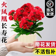 ���P���L�ۻ��������FƷ�N�������ذ���҃ȾGֲ�ļ��_���ܴ�ȫ