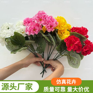 �羳����@ˇ���N���^�ΌӺ��Ļ������bҾӽ������ܷ��滨