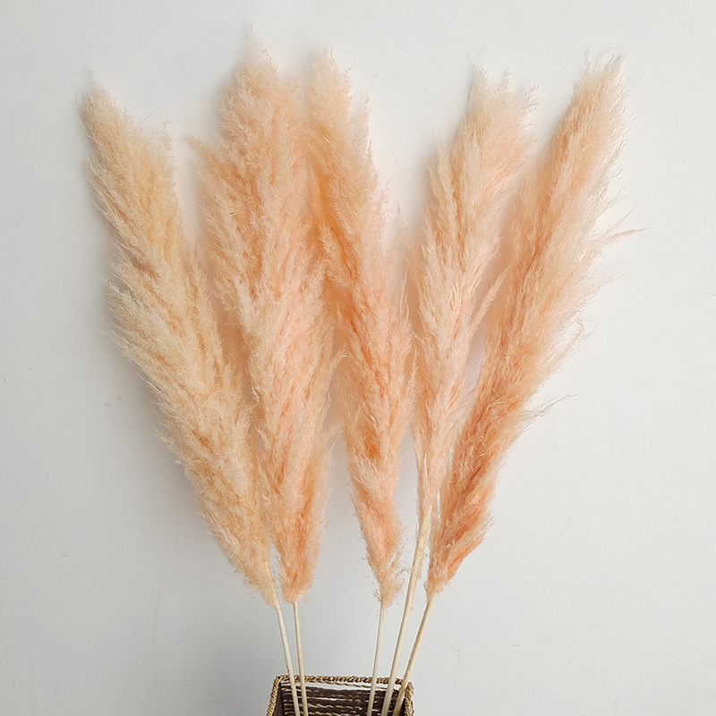 (18)5 꽃 스파이크 70-80cm 전체 길이 약 140cm