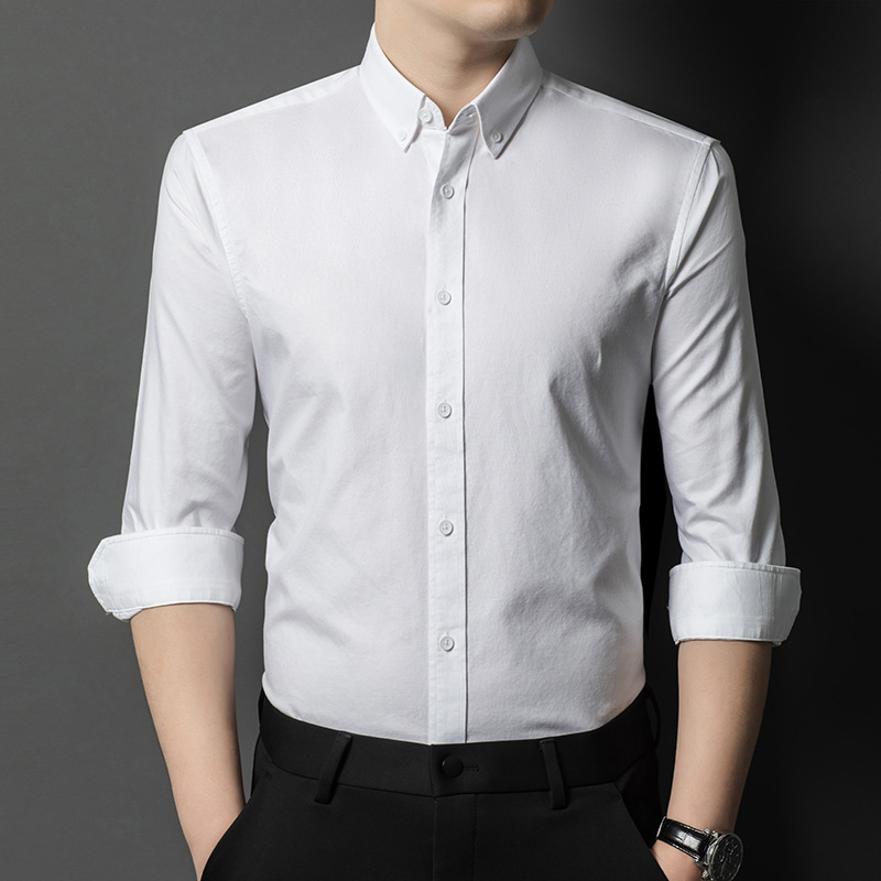 High-End Cotton Oxford Men's Long-Sleeve Shirt Spring New Professional Workwear Versatile Tencel Fashion Shirt for Men