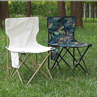 Strictly selected folding chair Portable camping picnic barbecue pony art sketch fishing with backrest folding chair