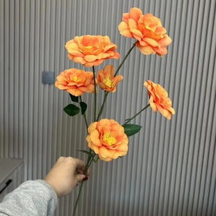 6�^ܽ�ط��滨 ��c��ܽ�ػ���Y���b����廨·�����żҾӔ[��