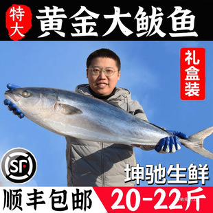 ���S���E�~22-20�ﺣ�~���r�������l�R�o�~������E�~���l�Y��