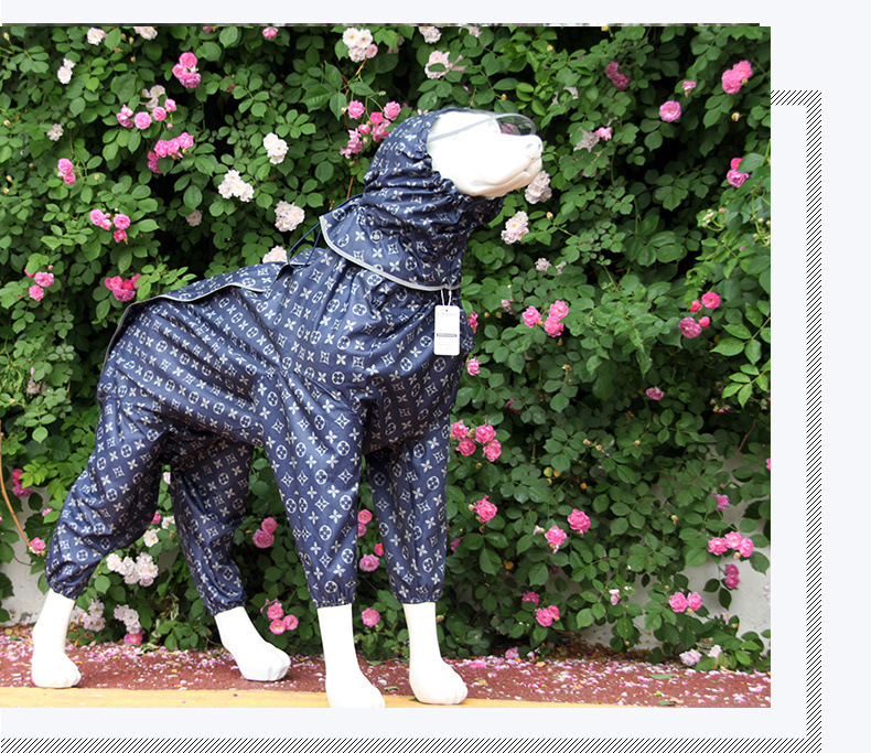 43b0a752-f66f-4f3d-a0a9-9f420f3d14cb.jpe