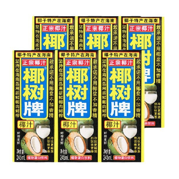 椰树牌椰子汁245ml*6盒植物蛋白饮料海南特产椰汁鲜榨新鲜整件箱 5