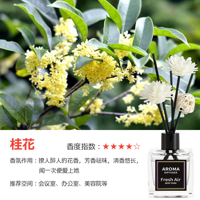 [99% 선택] 퓨어 가드니아 아로마테라피 [핫셀러]-[1병] 오스만투스