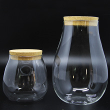 苔藓微景观创意瓶 diy带灯水滴玻璃瓶 木塞生态瓶 制作容器批发