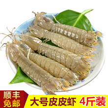 ƤƤ�r500g/���r������l؛��|���r�r�����r�ø��F�r