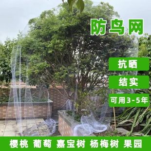 ������B�W�ּΌ������ҹ��@�����~����W�������o�W�˵��̨����