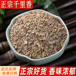 千里香500克 七里香籽千里香子香料调料卤肉料可打粉
