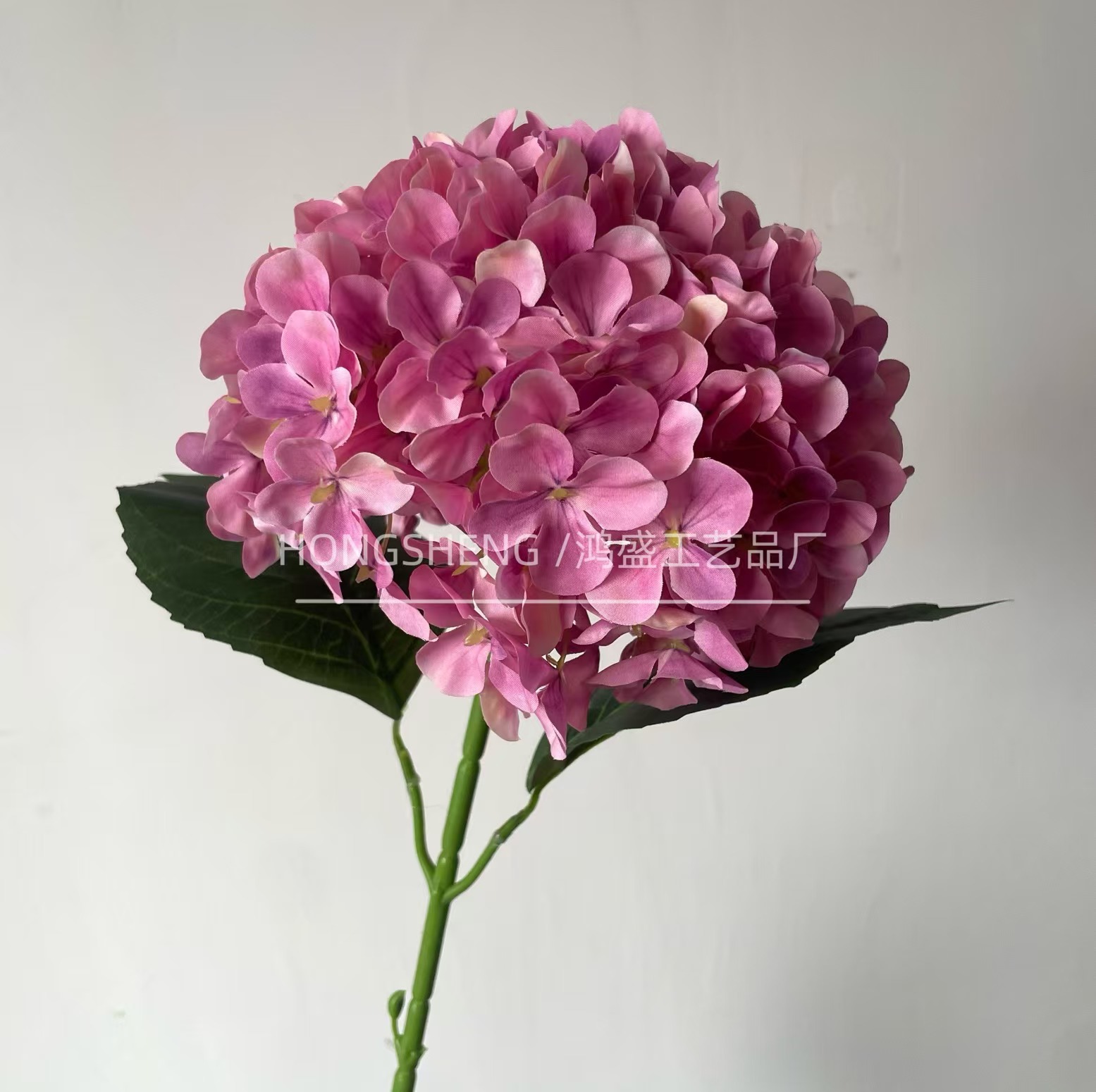 분홍색 보라색