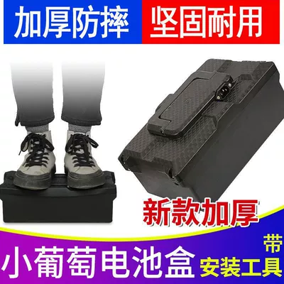 Box 48V12A Small Grape Electric: Other Electric Vehicle Accessories