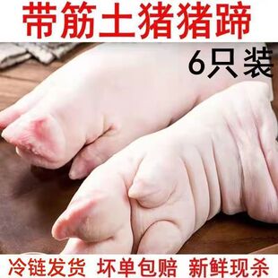 猪蹄 生猪脚新鲜带筋猪脚猪爪烧烤食材家用酱猪手整只猪肉类厂家-阿里巴巴